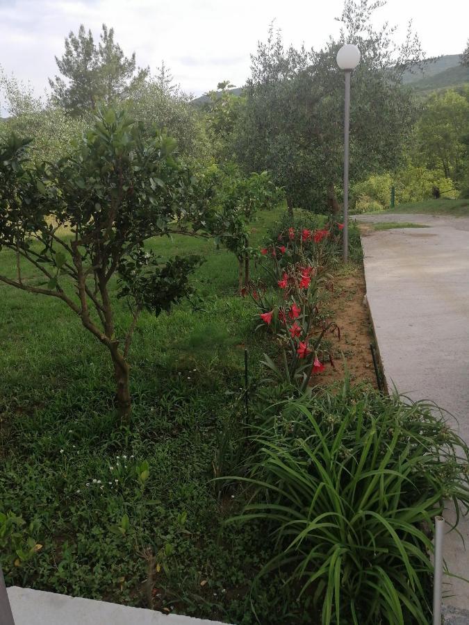 Apartman Petovic Kotor Exterior foto
